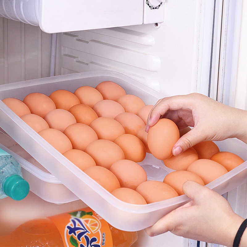 Hộp đựng trứng gà vịt tiện dụng AMIZIN Hộp đựng trứng 24 quả trong tủ lạnh bảo quản lâu
