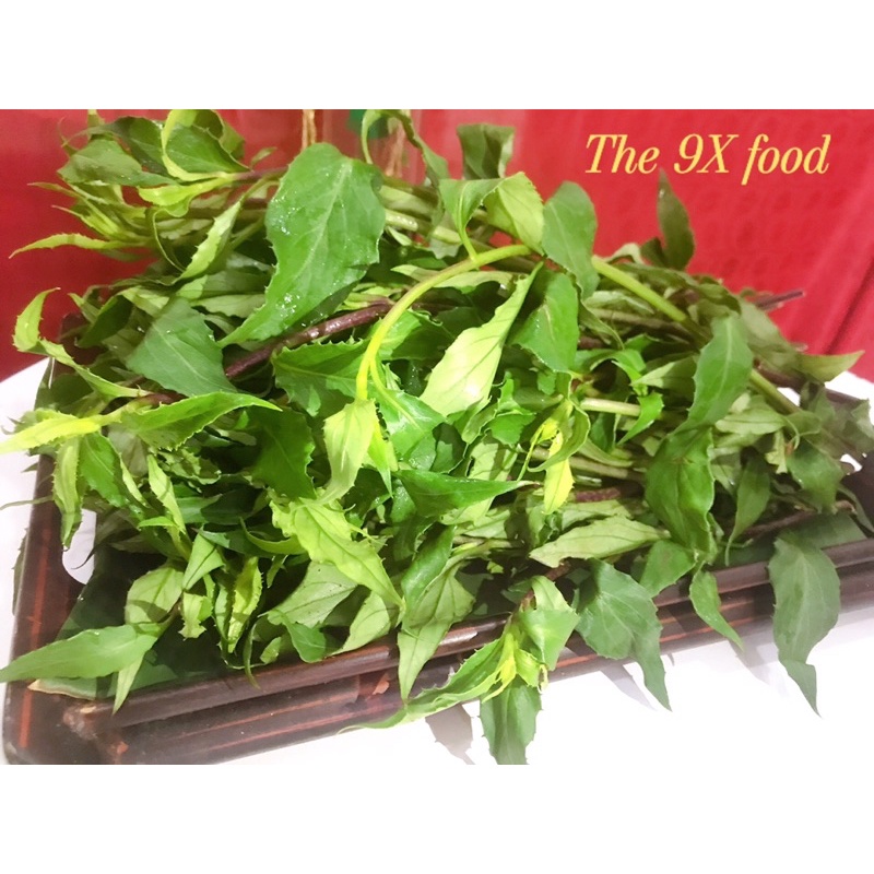 RAU RỪNG GIA LAI 500G | Shopee Việt Nam