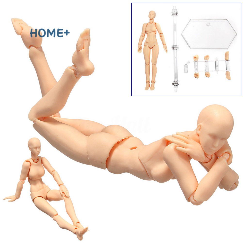 Mô hình cơ thể người phiên bản 2.0 có khớp cử động điều chỉnh linh hoạt 13 cm/13.5 cm chất lượng