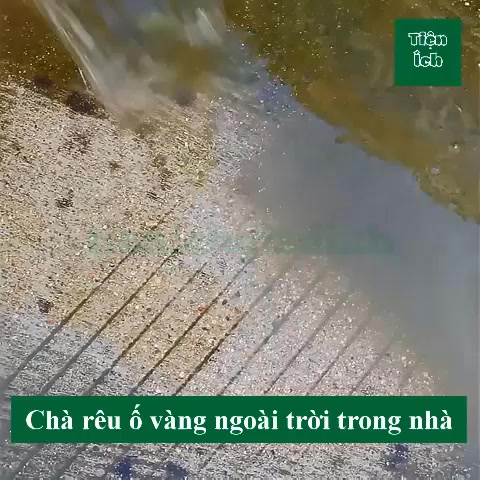Chổi sắt mạ đồng chà cọ rong rêu ố vàng sàn nhà sân vườn bể bơi sợi dài ...