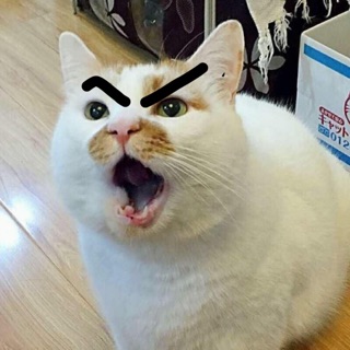 linhng408