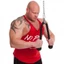 Dây Thừng Kéo Xô, Dây Thừng Đôi Hỗ Trợ Tập Gym, Tập Tay, Tập Vai, Tập Lưng