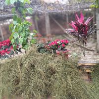 nguyenthithungan19112097