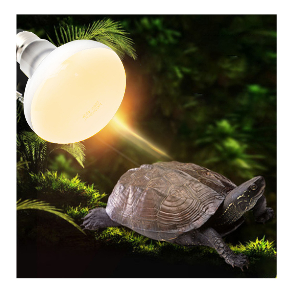 Bóng Đèn Sưởi 50/60/100W Tắm Nắng Cho Bò Sát Ánh Sáng Đèn Sưởi Nóng UVA Bóng Đèn Halogen - INTL-168