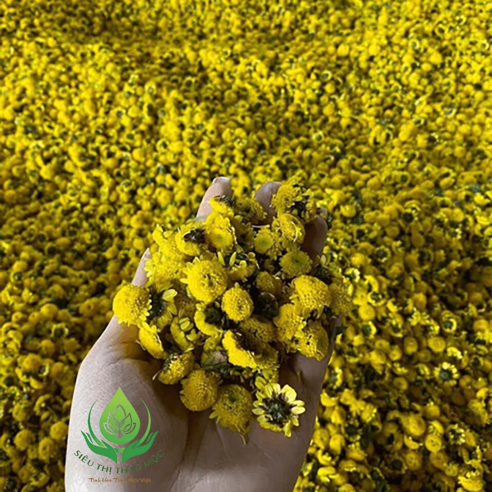 Thiết kế của Ô Cao Cấp