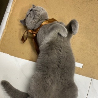 nguyen_ngan99
