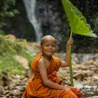 dinh1eu2o7