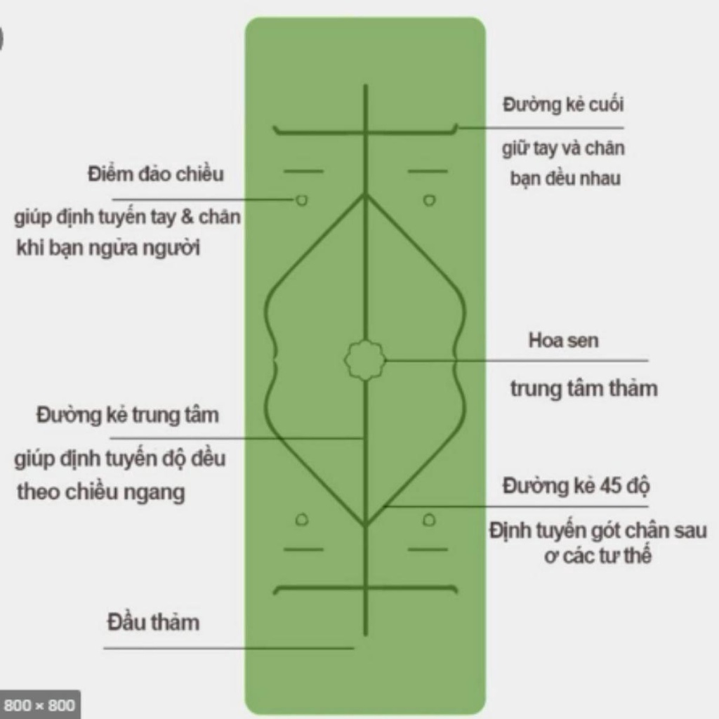Thảm Tập YOGA Định Tuyến 8MM [ TẶNG TÚI ] Chuẩn TPE 2 Lớp Cao Cấp Chống Trượt và Bám Sàn Tốt [Có Bảo Hành]