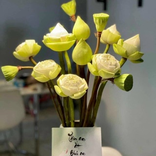 ngoantran_89