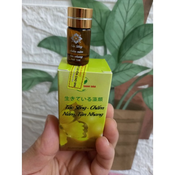 Tảo sống chấm nám, tàn nhang.