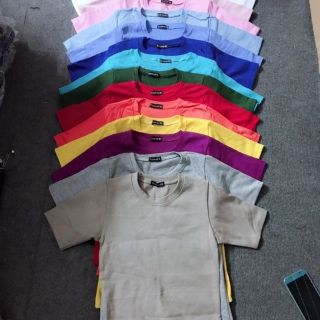 Áo thun gân tay ngắn babytee dáng chuẩn - LYLYNA A08