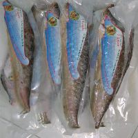 trinhnhi92