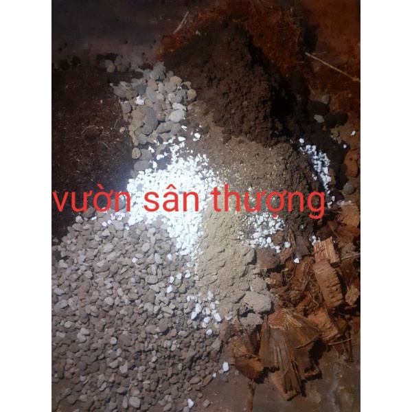 1L Giá Thể Trồng Cây Kiểng Lá Trong Nhà Cao Cấp, Thoát Nước Tốt, Không Cần Trộn