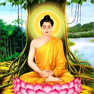 lehungbinh18