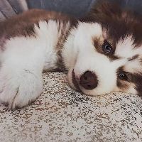huyenn0000
