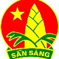 giang11285