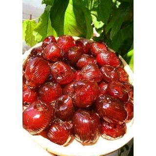 THUYTIENFOOD Táo Thái Sấy Dẻo Hũ 450gr – Ăn Vặt Giàu Vitamin – Snack Dẻo Ngon Tốt Cho Sức Khỏe
