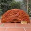 Tranh Quạt Phu Thê Gỗ Hương Kích Thước 50*100cm
