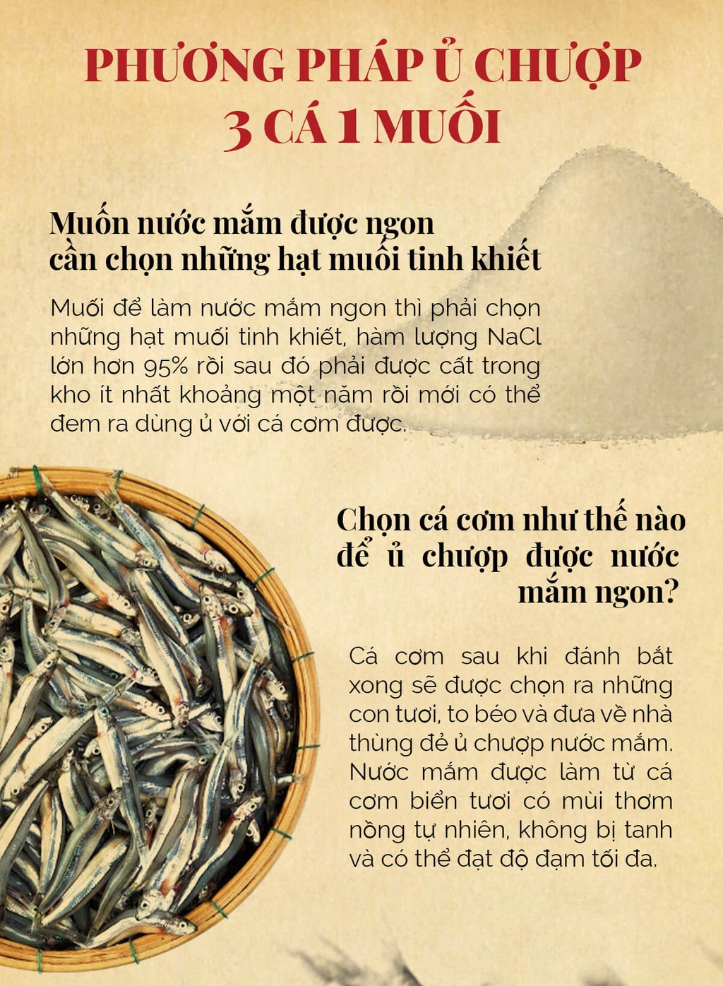 Chọn muối và cá cơm