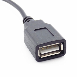 1m Dây Nối Dài 2Pin 4Pin USB 2.0 Nữ Jack Cắm Điện Sạc Cáp Dữ Liệu Kết Nối DIY 5V Adapter F @ V2N