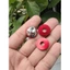 ỐC TRỤ SALAYA 8LY - INOX 304 SÁNG CỰC ĐẸP GẮN NHIỀU VỊ TRÍ CHO XE GẮN MÁY