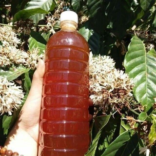 [Siêu Sale] Mật Ong Nuôi Tự Nhiên Hoa Cà Phê Dak Lak Loại 1 Lít Nguyên Chất