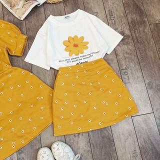 Set hoa cúc