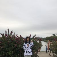 phuongthoanpham