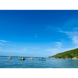 nguyendiemthuy12345