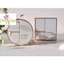 PHẤN NƯỚC LIME REAL COVER PINK CUSHION