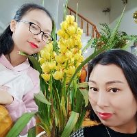 linh556689