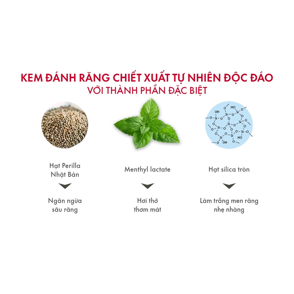 Mô tả Kem Đánh Răng Cho Hơi Thở Thơm Mát SPLAT Love Special series Vị Quả Mâm Xôi, Làm Sạch Mảng Bám 75ml - 2