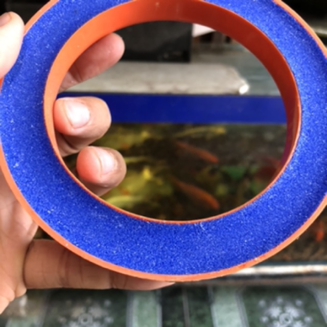 VÒNG SỦI OXY HỒ CÁ NON BỘ ĐƯỜNG KÍNH