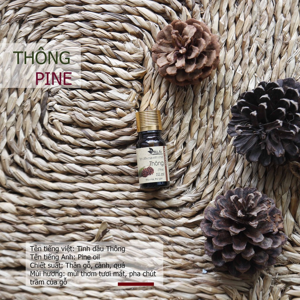[HOT] Tinh Dầu Thông Nguyên Chất 100% – Khử Mùi, Xua Đuổi Côn Trùng, thơm nhà của