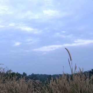 thaibaonguyenba