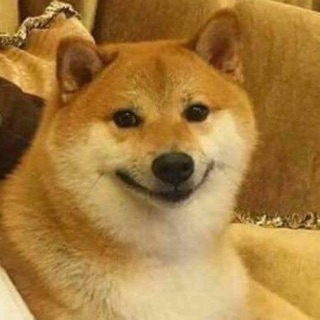 dlwnbyg28