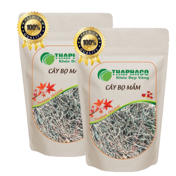 [Thiên Nhiên] Bọ Mắn Sấy Khô Ngăn Ngừa Lao Phổi 100g Thaphaco