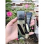 Kem Dưỡng Vùng Mắt AHC Ageless Real Eye Cream For Face mẫu mới 2021(30ml) Vỏ Đen