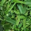 Trà Lá Dứa Sấy Lạnh Thơm Ngon