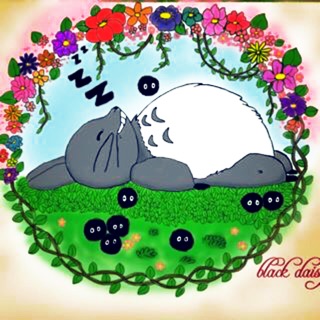bdaisy