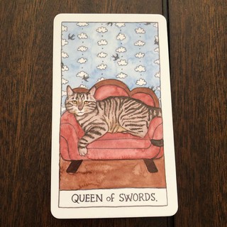 Bộ Bài Cat Tarot (Mystic House Tarot Shop) - Bài Gốc Authentic Chính Hãng 100%
