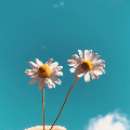 cloud_kute