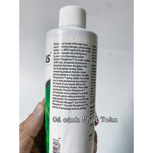 PHÂN NƯỚC CHO CÂY THỦY SINH FLOURISH PHOSPHORUS SEACHEM 250ML