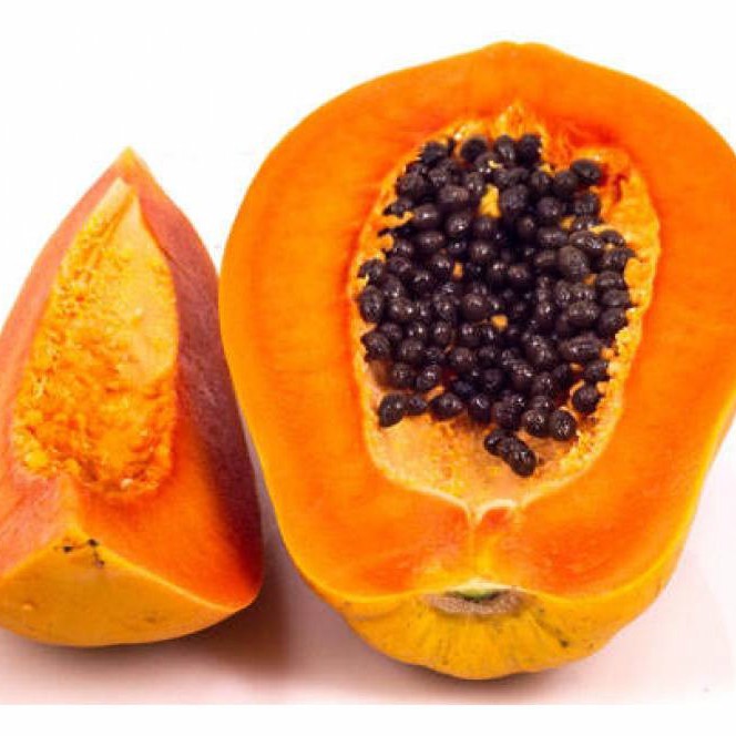 Hạt giống đu đủ ruột gấc