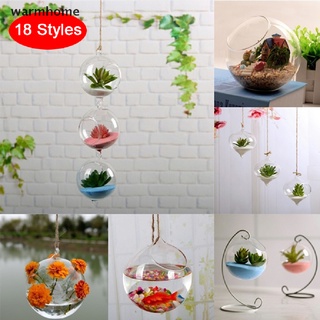 Chậu hoa hình thủy tinh trong suốt / bể cá