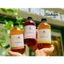 Trà Lên Men Lady Kombucha 500ml - Xanhsam Natural & Organic