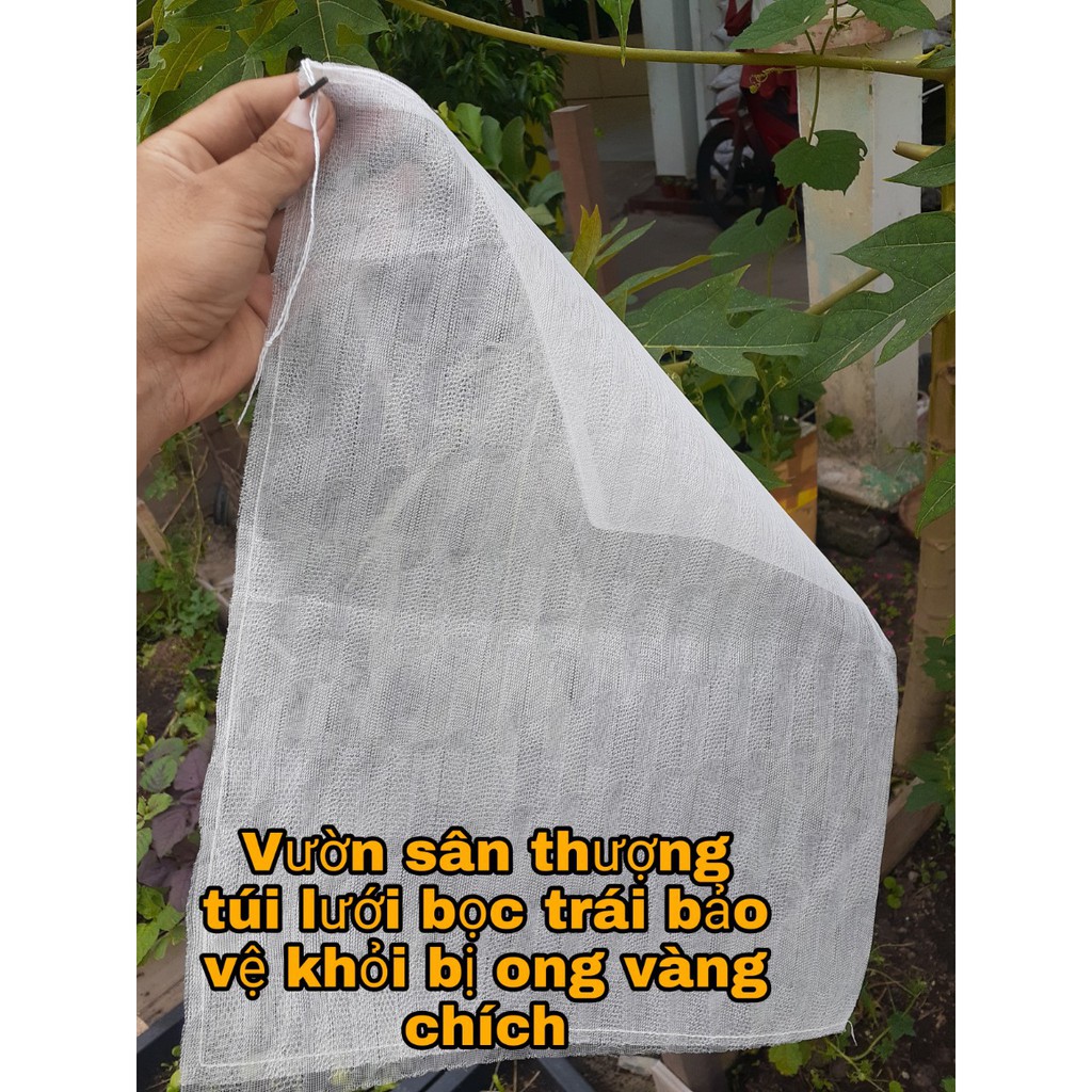 [ 5 Cái] Túi Bao Trái, Hoa Qủa Tránh Côn Trùng Lỗ Nhỏ Thoáng 30* 35 cm Phù Hợp Hầu Hết Các Loại Từ Bưởi, Khổ Qua,..,