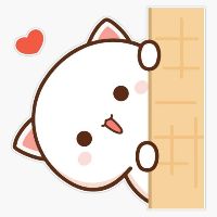 leehao0806