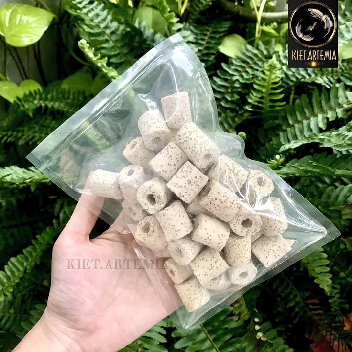Water Filter – 2