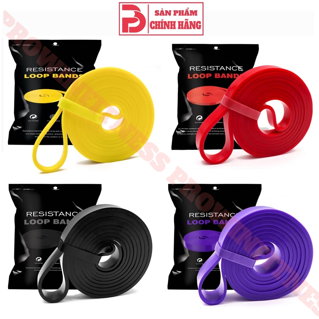 Ảnh Dây kháng lực Power band Prowin Fitness hỗ trợ tập gym, yoga, kéo xà 1